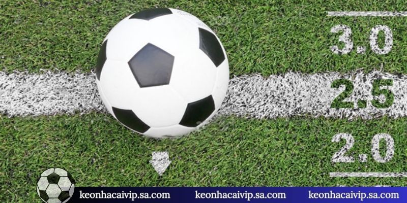 3 lỗi lầm nên tránh xa khi cược bóng đá