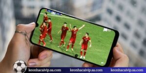 Chiến Lược Bankroll Betting