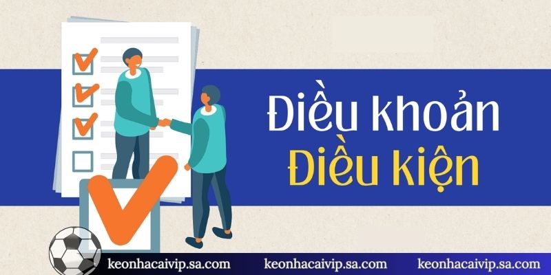 Đặc điểm nổi bật của điều khoản & điều kiện